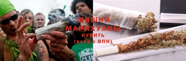 соль ск Алзамай