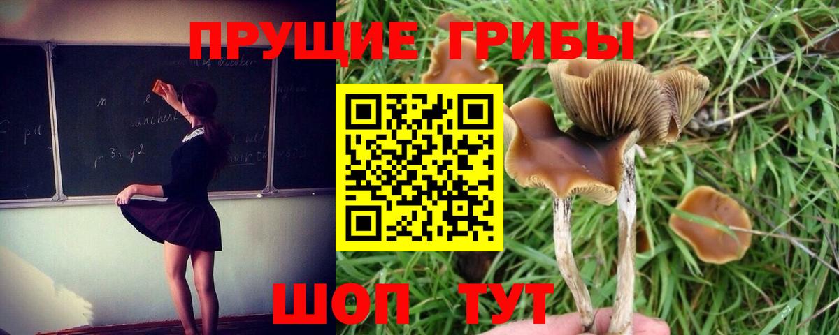 Псилоцибиновые грибы MAGIC MUSHROOMS Керчь