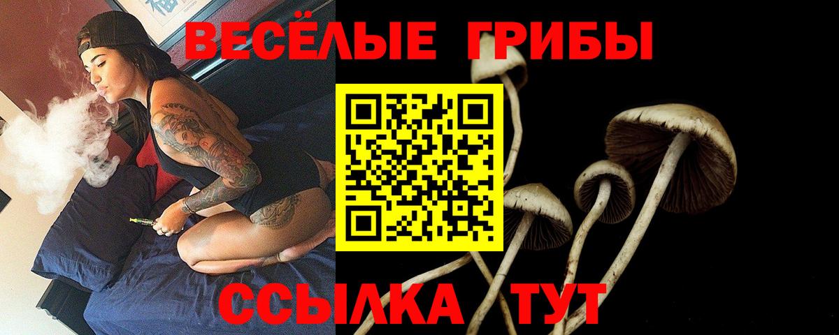 Псилоцибиновые грибы прущие грибы  Вход с VPN  Керчь 